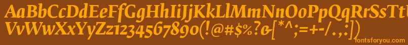 フォントFedraserifbproBolditalic – オレンジ色の文字が茶色の背景にあります。