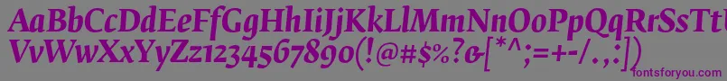 Шрифт FedraserifbproBolditalic – фиолетовые шрифты на сером фоне