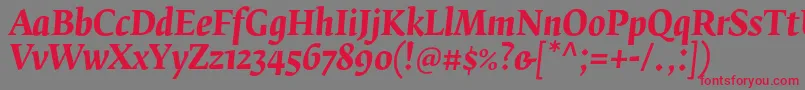 FedraserifbproBolditalic Font – Red Fonts on Gray Background