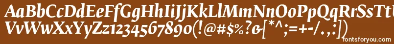 フォントFedraserifbproBolditalic – 茶色の背景に白い文字