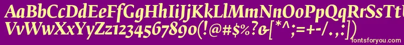 FedraserifbproBolditalic Font – Yellow Fonts on Purple Background