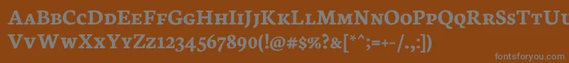 NeutonScBold-Schriftart – Graue Schriften auf braunem Hintergrund