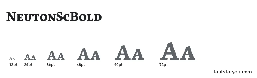 NeutonScBold Font Sizes