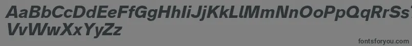 Analogue76boldoblique Font – Black Fonts on Gray Background