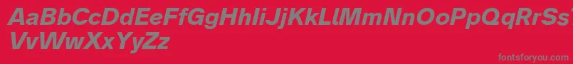 Analogue76boldoblique Font – Gray Fonts on Red Background