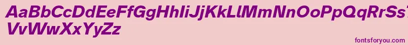 Analogue76boldoblique Font – Purple Fonts on Pink Background