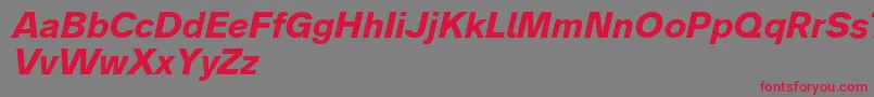 Analogue76boldoblique Font – Red Fonts on Gray Background