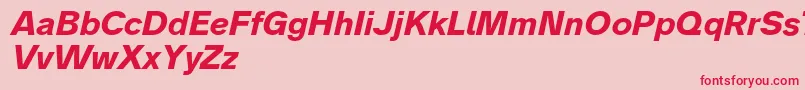 Analogue76boldoblique Font – Red Fonts on Pink Background