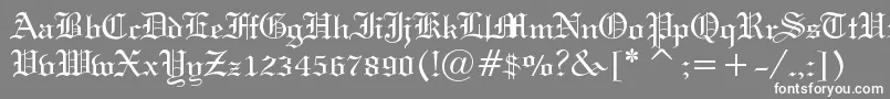 HolyUnion Font – White Fonts on Gray Background