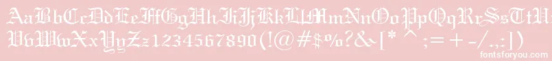 HolyUnion Font – White Fonts on Pink Background