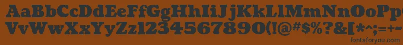 CoustardBlack Font – Black Fonts on Brown Background