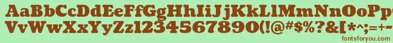 CoustardBlack Font – Brown Fonts on Green Background