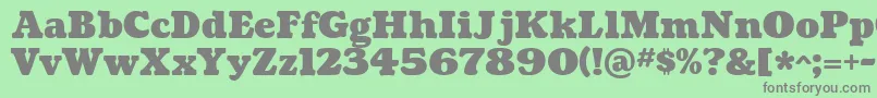 CoustardBlack Font – Gray Fonts on Green Background