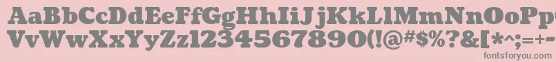 More about CoustardBlack Font CoustardBlack Font – Gray Fonts on Pink Background