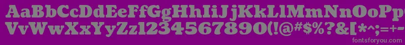 CoustardBlack-Schriftart – Graue Schriften auf violettem Hintergrund