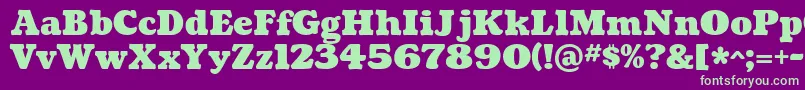 CoustardBlack Font – Green Fonts on Purple Background