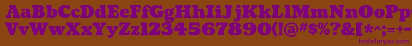 CoustardBlack Font – Purple Fonts on Brown Background