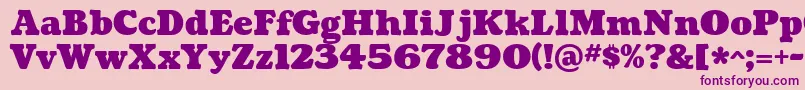CoustardBlack Font – Purple Fonts on Pink Background