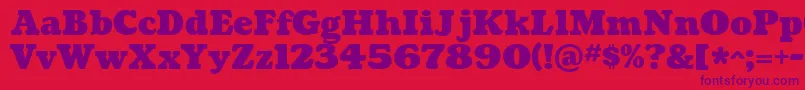 CoustardBlack-fontti – violetit fontit punaisella taustalla