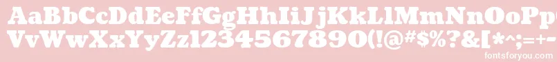 CoustardBlack Font – White Fonts on Pink Background