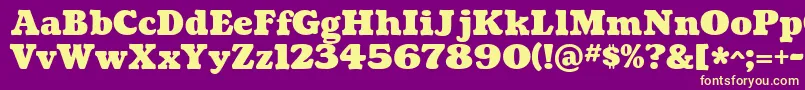 CoustardBlack Font – Yellow Fonts on Purple Background