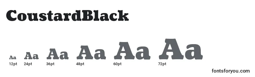 CoustardBlack Font Sizes