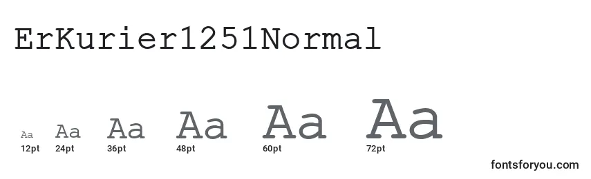ErKurier1251Normal Font Sizes