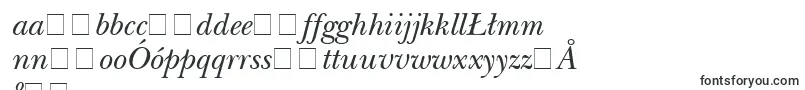 BaskervilleSsiItalic-Schriftart – polnische Schriften