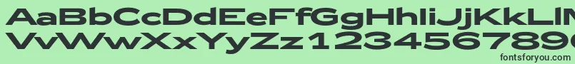 Zeppelin52Bold Font – Black Fonts on Green Background