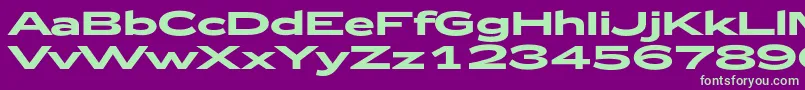 Zeppelin52Bold Font – Green Fonts on Purple Background