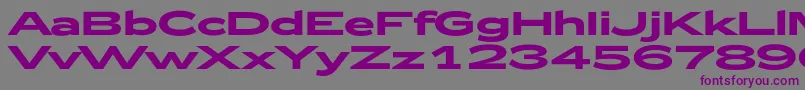 Zeppelin52Bold Font – Purple Fonts on Gray Background