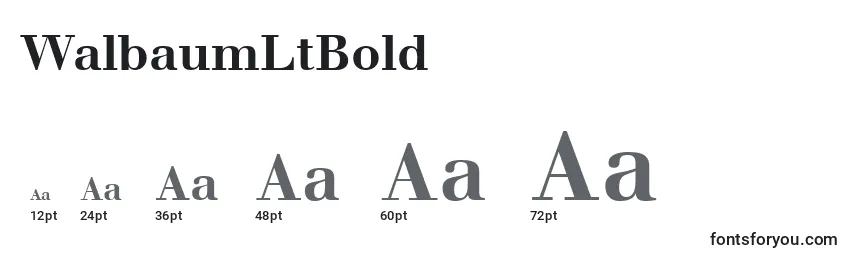 WalbaumLtBold Font Sizes