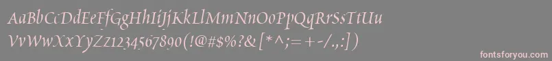 PoeticaChanceryIi Font – Pink Fonts on Gray Background