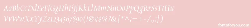 PoeticaChanceryIi Font – White Fonts on Pink Background