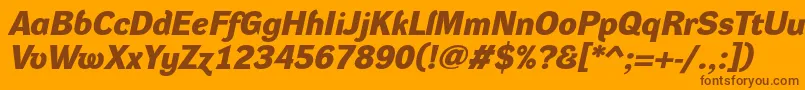 DynagroteskdeBolditalic Font – Brown Fonts on Orange Background