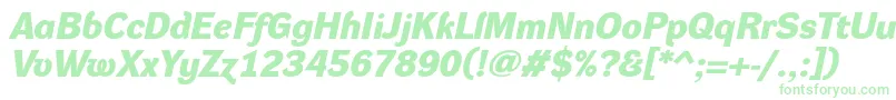 DynagroteskdeBolditalic Font – Green Fonts