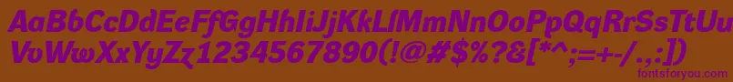 DynagroteskdeBolditalic Font – Purple Fonts on Brown Background