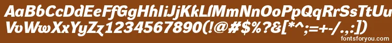 DynagroteskdeBolditalic-fontti – valkoiset fontit ruskealla taustalla