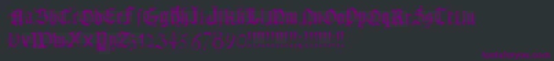 DotsLandGotika Font – Purple Fonts on Black Background