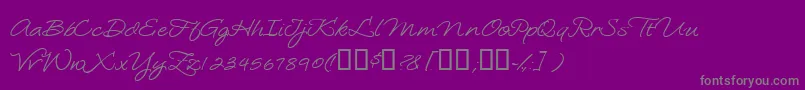 Шрифт Loosiescript – серые шрифты на фиолетовом фоне