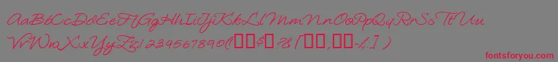 フォントLoosiescript – 赤い文字の灰色の背景