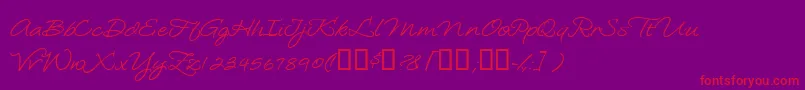 Loosiescript-Schriftart – Rote Schriften auf violettem Hintergrund