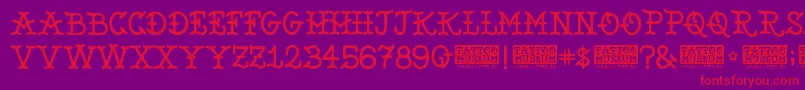 TattooMuseum Font – Red Fonts on Purple Background