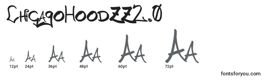 ChicagoHoodzz2.0 Font Sizes