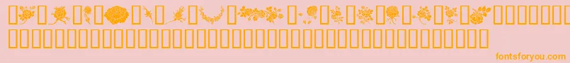 Rosegarden Font – Orange Fonts on Pink Background