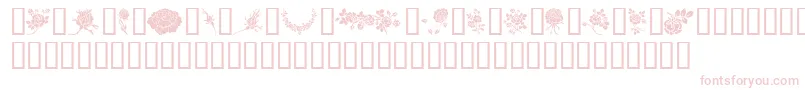 Rosegarden Font – Pink Fonts on White Background