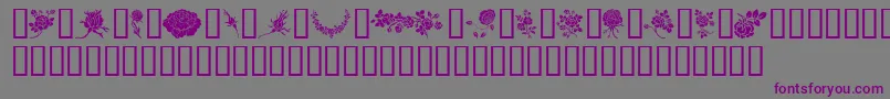フォントRosegarden – 紫色のフォント、灰色の背景