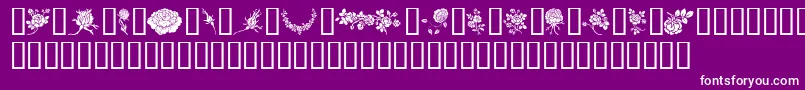 Rosegarden Font – White Fonts on Purple Background