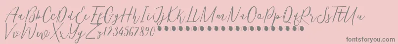 More about KentuckyFree Font KentuckyFree Font – Gray Fonts on Pink Background