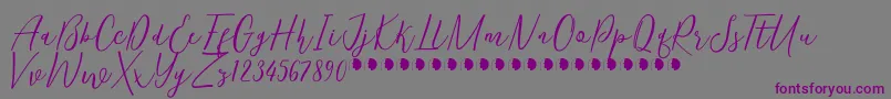 KentuckyFree-fontti – violetit fontit harmaalla taustalla